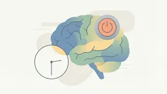The Human Brain Stops Working at 14:06: New Scientific Data